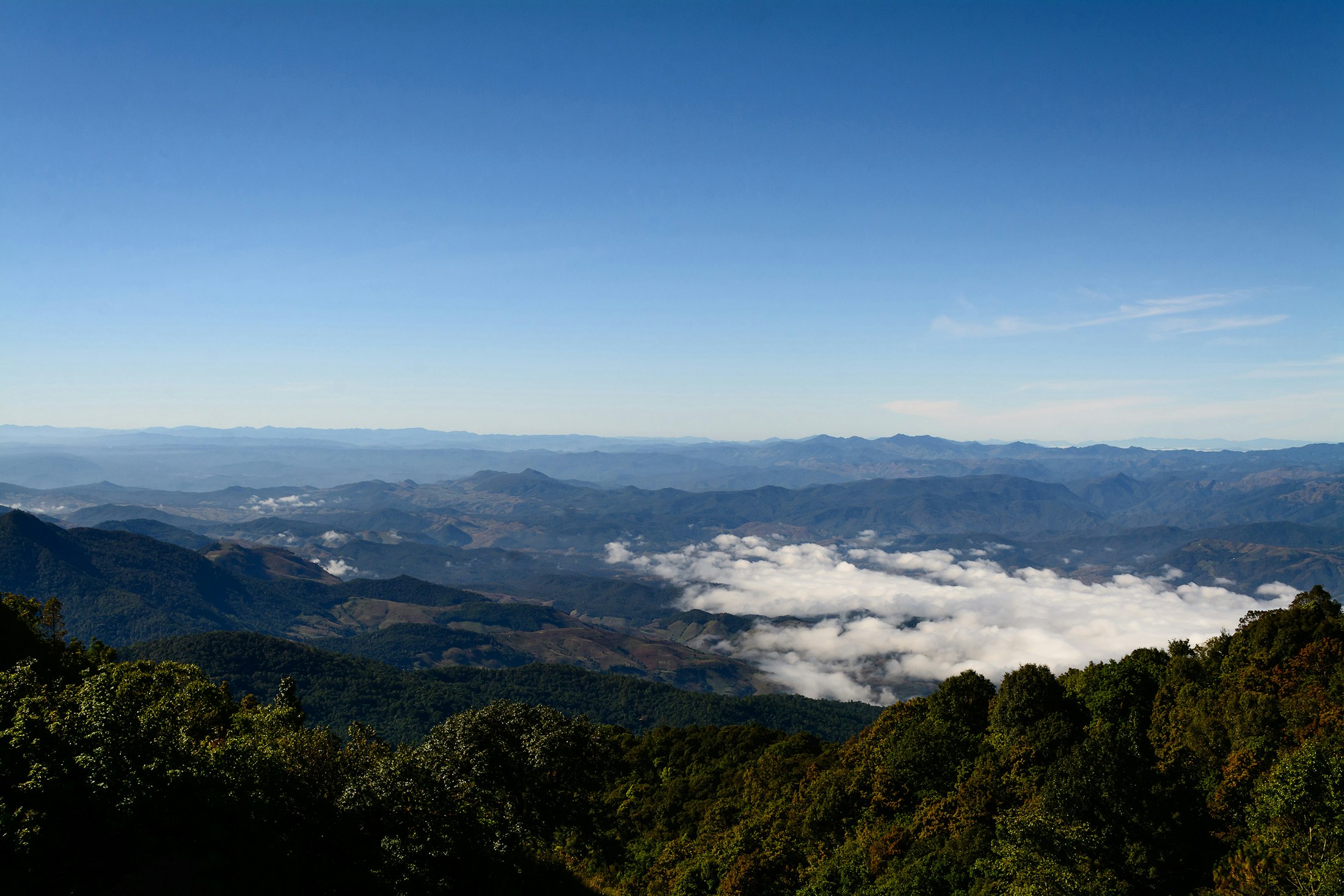 ภูเขาในสายหมอก